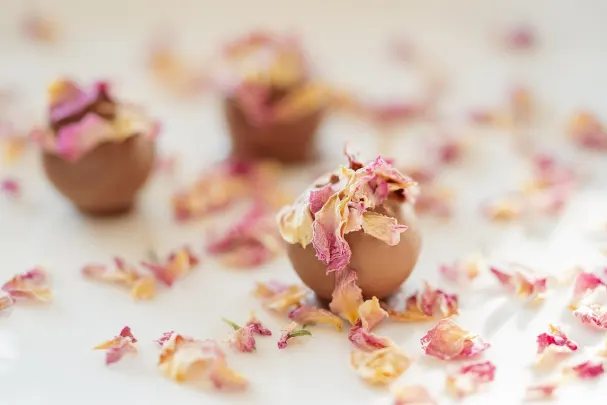 Kasino Paradise Win Apl Android/iOS